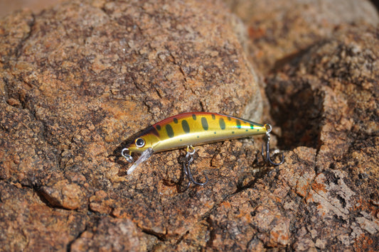 Fishin Straya 55MM Slim Minnows - Golden Trout