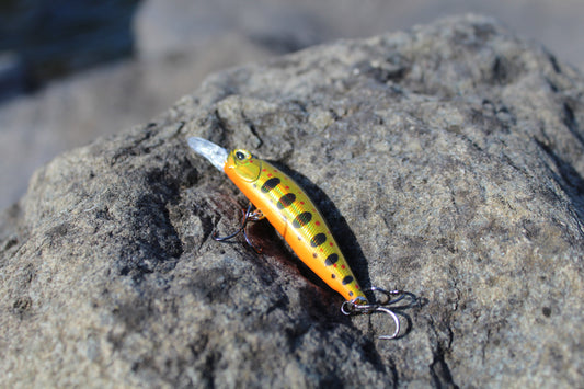 Fishin Straya 63 Phat Shadz Golden Trout