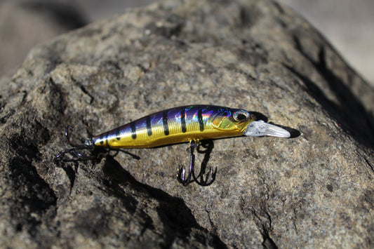 Fishin Straya 63 Phat Shadz Marine Galaxia