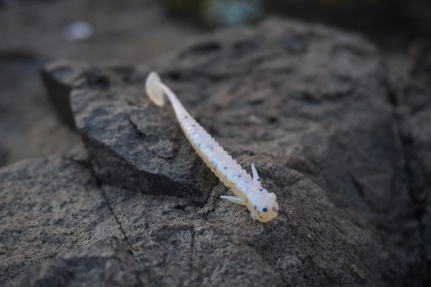 Fishin Straya 75mm Nymph Head Soft Plastics - Whitebait