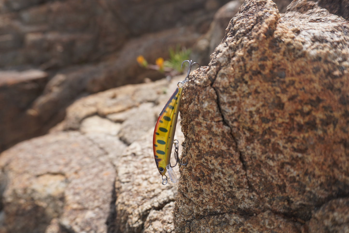 Fishin Straya 55MM Slim Minnows - Golden Trout