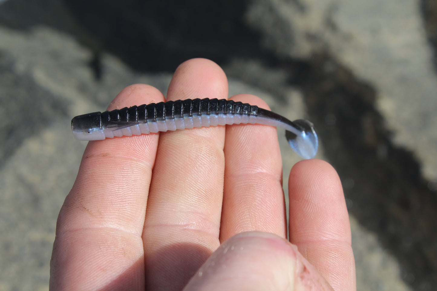 Fishin Straya 75mm Nymph Head Soft Plastics - Spawn Whitebait