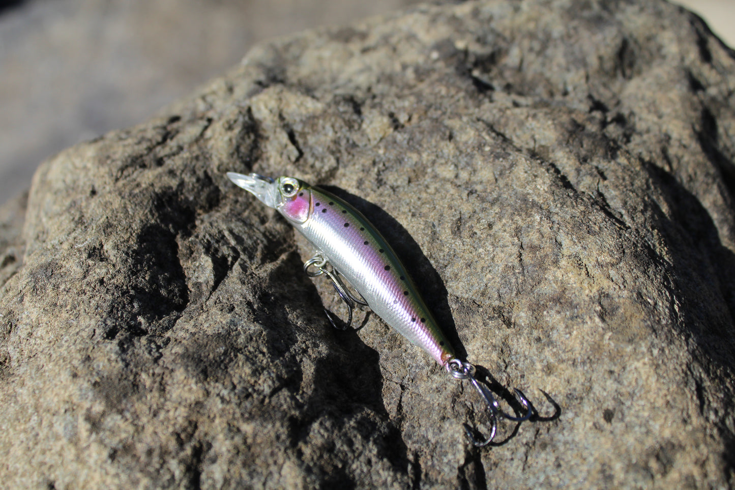 Fishin Straya 63 Phat Shadz Rainbow Trout
