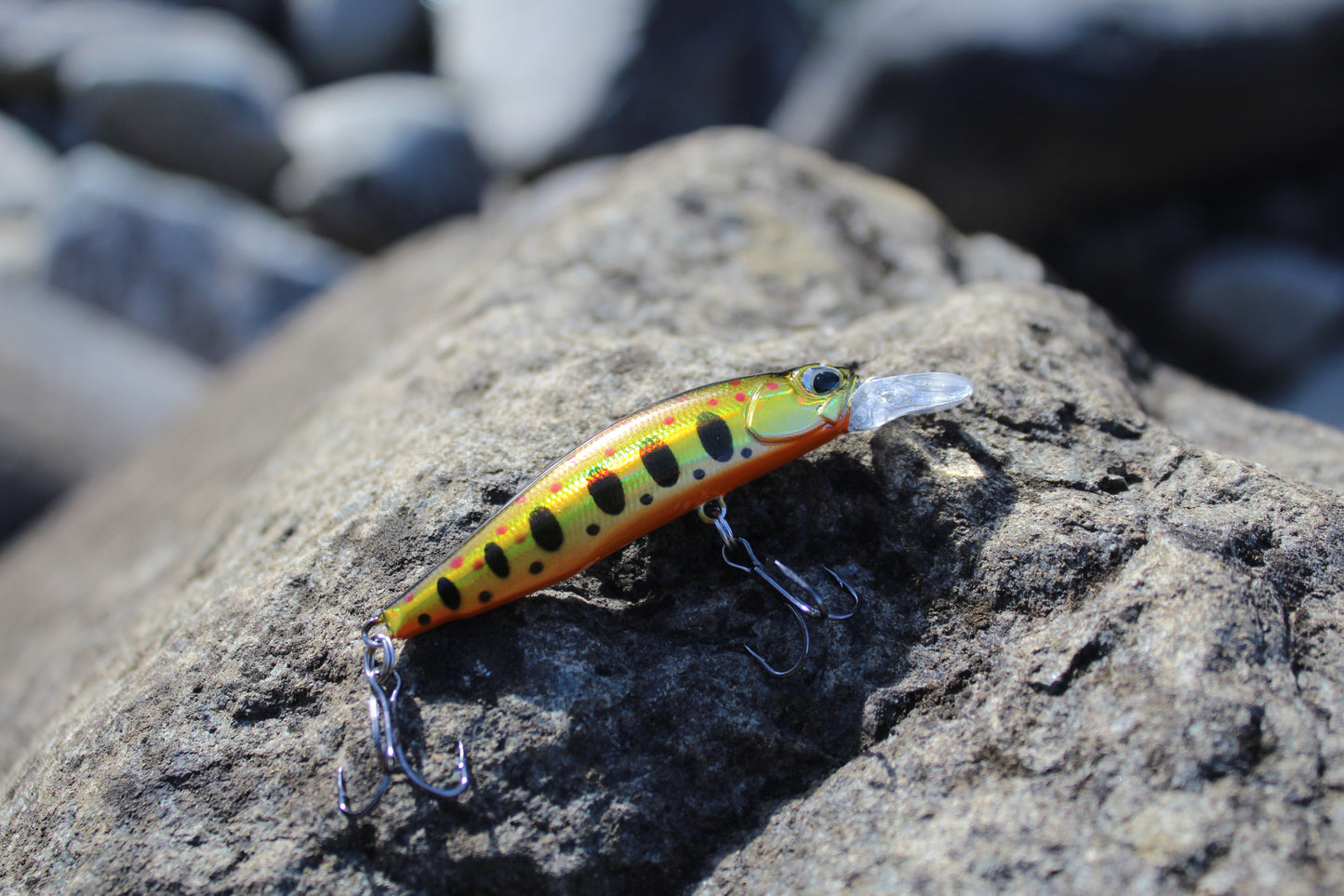 Fishin Straya 63 Phat Shadz  Golden Trout